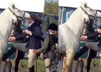 SARAH MOULDS HORSE VIDEO • VIDEO OF SARAH MOULDS PUNCHING KICKING HORSE