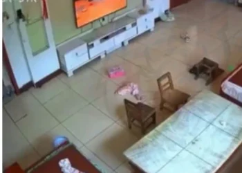 No debiste abrir la puerta niñas video twitter, Que fue lo que paso realmente