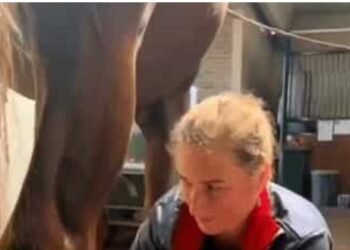 New Horse Video 2 – New Woman and horse riding video leaves People surprised