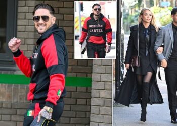 Georgia Harrison Stephen bear Video Tape Viral Explained