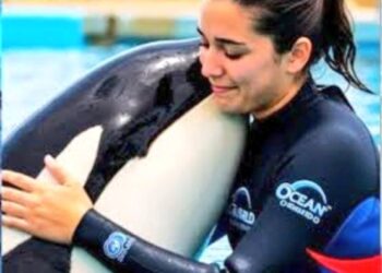 Jessica Radcliffe Orca Video Explained